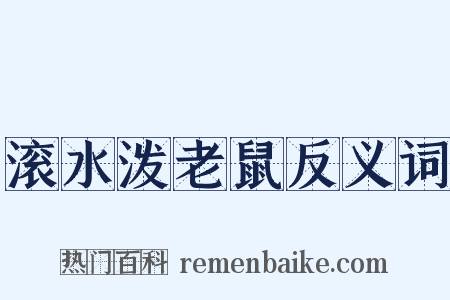 滚水泼老鼠反义词是什么意思的图片